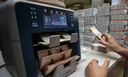 Bankacılık sektörünün mevduatı geçen hafta arttı