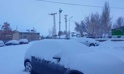 Başkale'de araçlar kara gömüldü