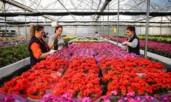 Yılbaşı öncesinde çiçekçilerde hareketlilik yaşanıyor
