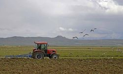 Çiftçilere destekleme ödemesi bugün yapılacak