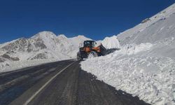 Çığ düşen Bahçesaray yolunda trafik yeniden açıldı