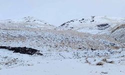 Erek Dağı ve çevresi beyaza büründü