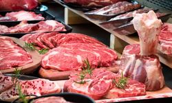 Van Muradiye Devlet Hastanesi gıda ürünleri satın alacak