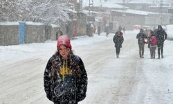 Van'ın Gevaş ilçesinde eğitime kar engeli