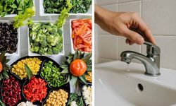 BM yetkililerinden su ve gıda israfıyla mücadelede işbirliği çağrısı