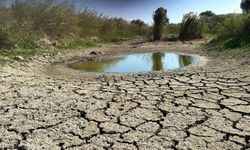 Dekan Prof. Dr. Tunçtürk’ten önemli değerlendirmeler: Van’da iklim değişikliği verimi düşürdü!