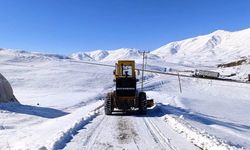 Van'da kardan kapanan 90 yoldan 55'i ulaşıma açıldı