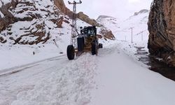 Van'da 102 yerleşim yerinin yolu ulaşıma kapandı