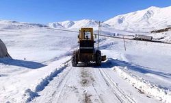 Van'da 35 ulaşım yolu kapalı