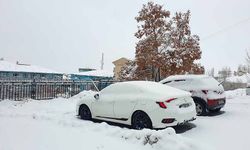 Başkale'de kar etkili oldu