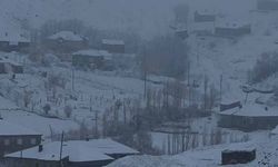 Hakkari’de 43 yerleşim yerinin yolu ulaşıma kapandı