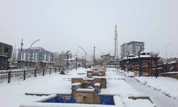 Başkale'de kar kalınlığı 20 santimetreyi geçti