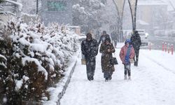 Van’da kar yağışı etkili olacak!