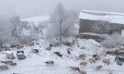 Bahçesaray'da kar yağışı