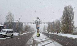 Van'ın iki ilçesinde kar yağdı