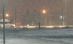 Van’da beklenen kar geldi