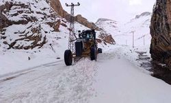 Van'da kırsalda karla mücadele sürüyor
