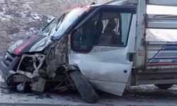 Kontrolden çıkan kamyonet direğe çarptı: 1 yaralı