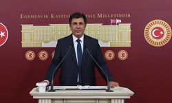 DEM Parti'li Dindar, Van'da doğal gaz konusunda sorun yaşanıyor