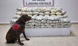 Başkale’de 60 kilo uyuşturucu ele geçirildi