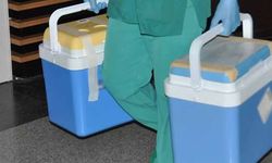 e-Nabız’ta 2 ayda 45 bin organ bağışı