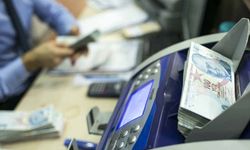 Reel efektif döviz kuru endeksi kasımda 71,79 oldu