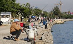 Türkiye'nin en sıcak ili belli oldu
