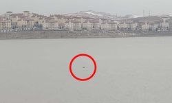 Sıhke Göleti'ne giren inek telef oldu