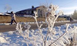 Doğu Anadolu'da dondurucu soğuklar yaşamı olumsuz etkiliyor
