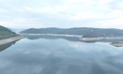 Türkiye'de su kaynaklarından 20,3 milyar metreküp su çekildi