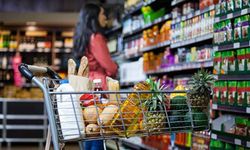 Taklit-tağşiş gıdalar listesine 34 yeni ürün eklendi
