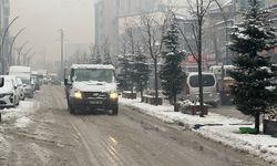 Van ve Hakkari'de kar yağışı etkili oldu; 12 yerleşim yeri ulaşıma kapandı