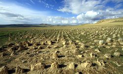 Van’da Urartu mezarları yok olma tehlikesinde