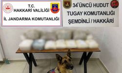 Hakkari'de büyük operasyon!