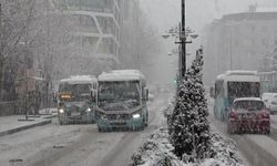Van beyaza büründü! Kar yağışı devam edecek mi?