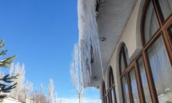 Van'da soğuk hava çatıları dondurdu