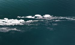 Van Gölü'nde şaşırtan görüntü!