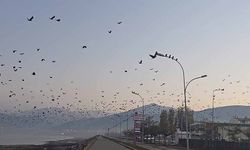 Van Gölü sahilinde gökyüzünde sıra dışı manzara