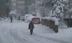 Van’a kar geliyor! Meteoroloji tarih verdi