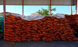 Van'da odun kömür fiyatları cep yakıyor! İşte güncel fiyatlar…