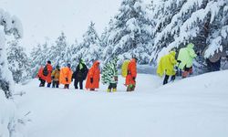 Van'da kar nedeniyle yol kapandı, rota Toprakkale'ye çevrildi