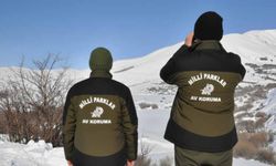 Hakkâri'de yasa dışı avcılığa ağır ceza