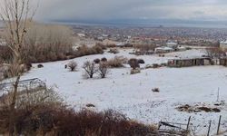 Van'da yüksek kesimlere kar yağdı