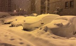 Yüksekova'da araçlar kara gömüldü