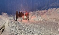 Hakkari-Van yolunda iki çığ arasında kalan 5 araç kurtarıldı