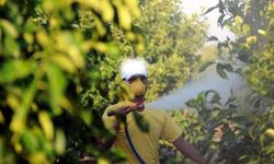 5 soruda tarımda "B-Reçete" uygulaması