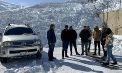 Çatak'ta TOKİ bölgesine iki ayrı çığ düştü