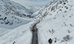 Van-Çatak yolu trafiğe kapatıldı