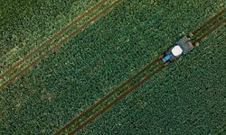 Çiftçilere 255,4 milyon lira tarımsal destekleme ödemesi yapıldı