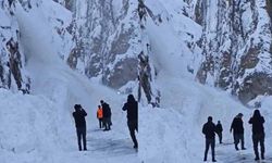 Van-Çukurca kara yolununa düşen çığ görüntülendi